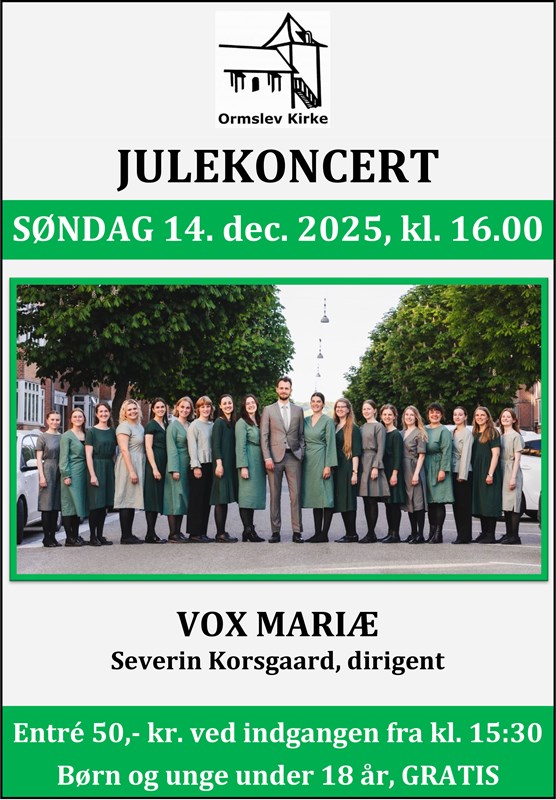 julekoncert.jpg (2)